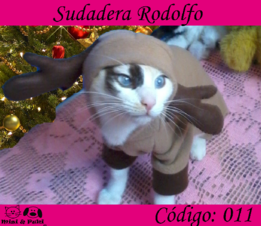 Disfraz Rodolfo