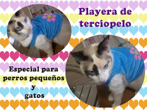 Playera Softy