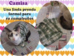 Camisa Chachi